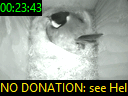 00:23:43