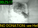 00:25:17