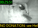 00:25:51