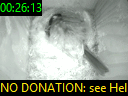 00:26:13
