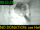 00:32:23