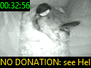 00:32:56