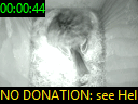 00:00:44