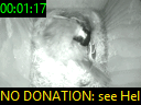 00:01:17