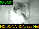 00:04:07