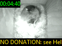 00:04:40