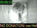00:06:55