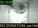 00:10:06