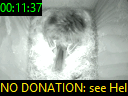 00:11:37