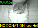 00:00:52