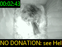 00:02:43