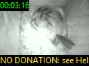 00:03:16