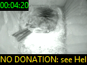 00:04:20