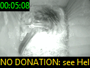 00:05:08