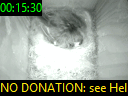 00:15:30