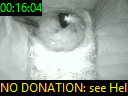 00:16:04