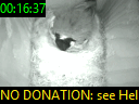 00:16:37