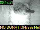 00:17:21