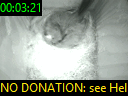 00:03:21