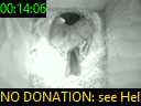 00:14:06