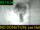 00:14:54