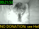 00:21:53