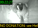 00:22:27