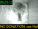 00:25:12