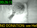 00:26:15