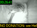 00:26:41