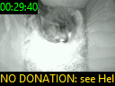 00:29:40