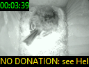 00:03:39