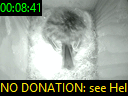 00:08:41