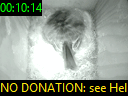 00:10:14