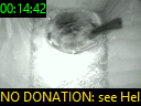 00:14:42