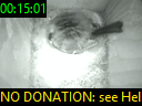 00:15:01