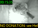 00:15:35