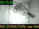 00:15:36