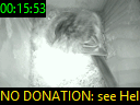 00:15:53