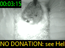 00:03:15