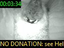 00:03:34
