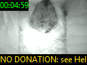 00:04:59