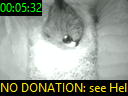 00:05:32
