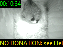 00:10:34