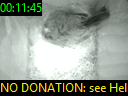 00:11:45