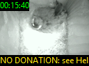 00:15:40