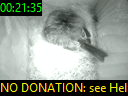 00:21:35