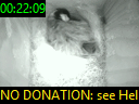 00:22:09