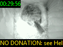 00:29:56