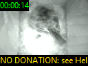 00:00:14